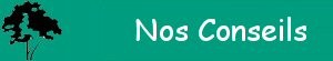 Nos Conseils