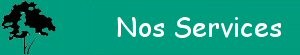 Nos Services